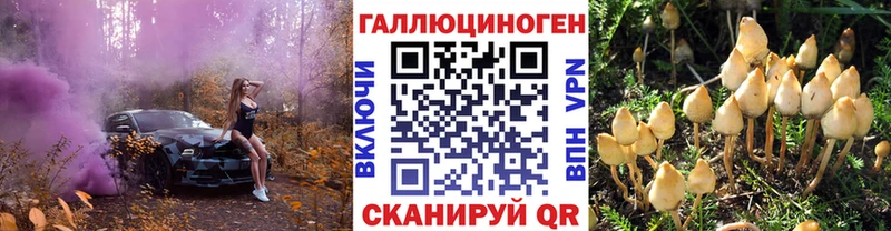 Галлюциногенные грибы Cubensis  Могоча 