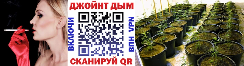Каннабис сатива  где купить наркоту  Могоча 